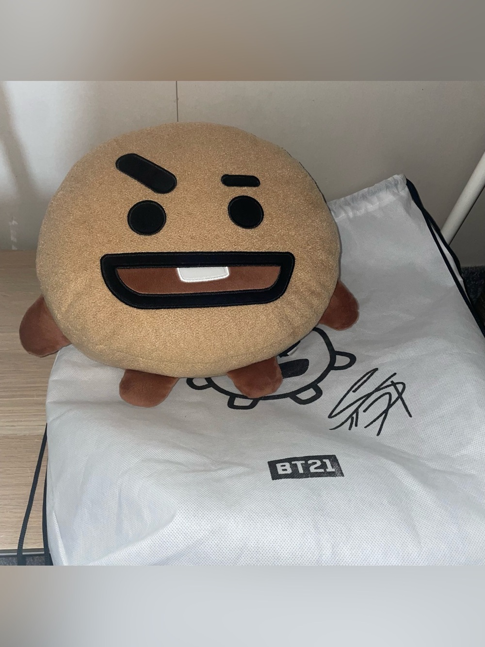 BTS BT21 Shooky Official Pillow Round Plush Large Stuffed Animal Brown plus bag